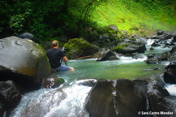 Scott - La Fortuna