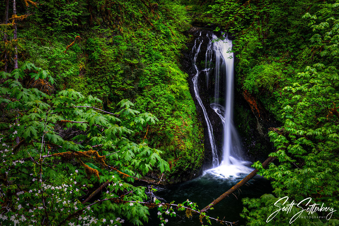 Lower Butte Creek Falls in Oregon