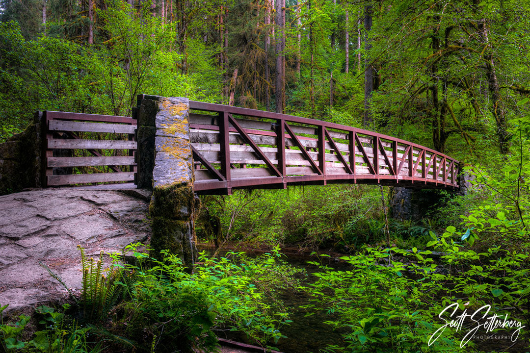 Bridge at Silver Falls State Park in Oregon