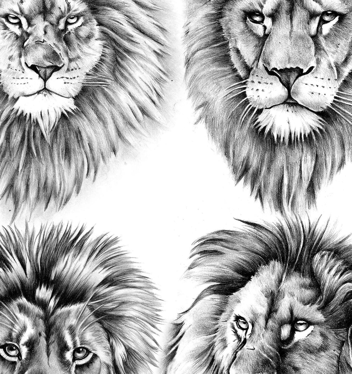 Lion Tattoo Stencil