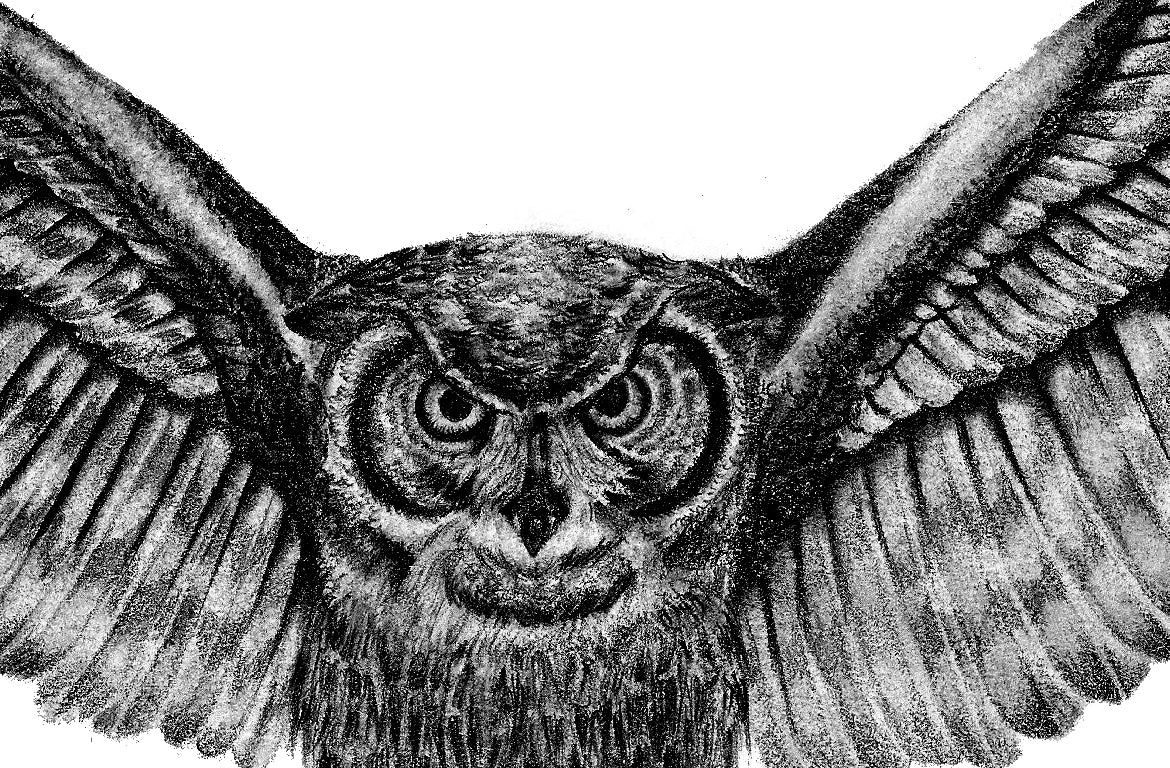 1. Mechanical owl tattoo design - wide 8