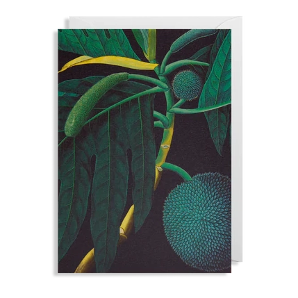 Green Flora Card-Greeting & Note Cards-Twigg Home