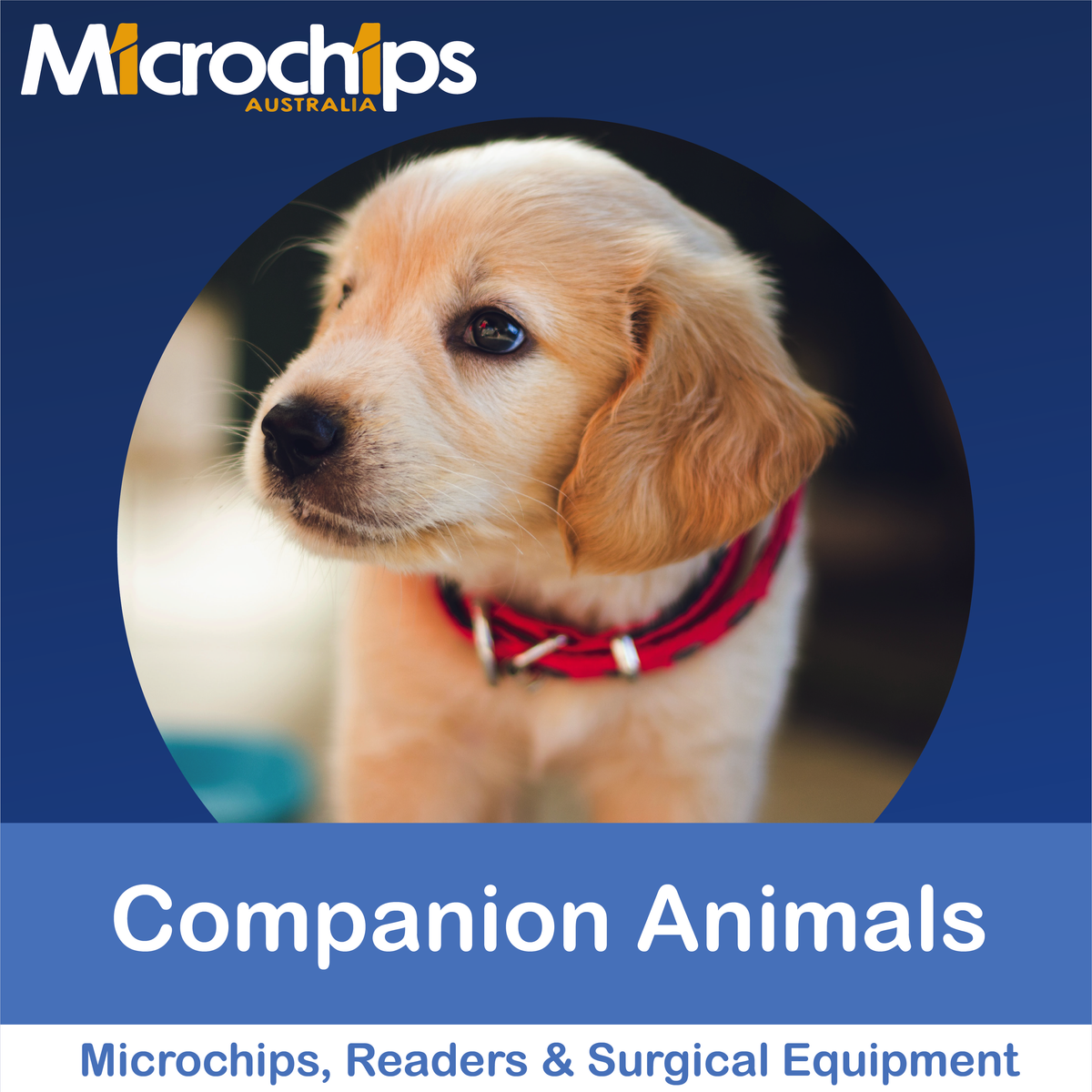 Companion Animal Products (All) – Microchips Australia