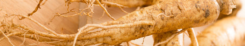 ginseng-kbeauty-ingredient