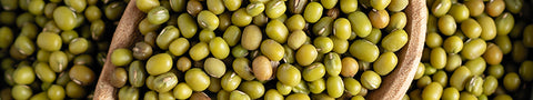 green-mung-beans-kbeauty-ingredient
