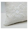 Area Violet Decorative Pillows