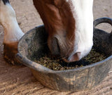 horse eating
