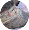 Laminitis