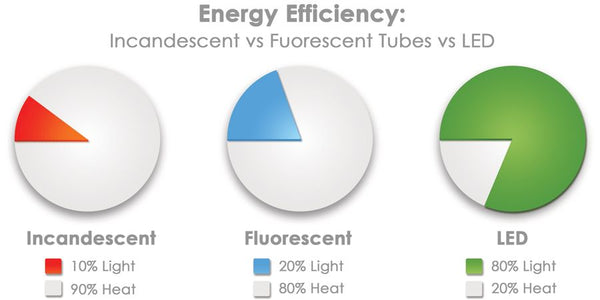 LED Downlight Energy Efficiency