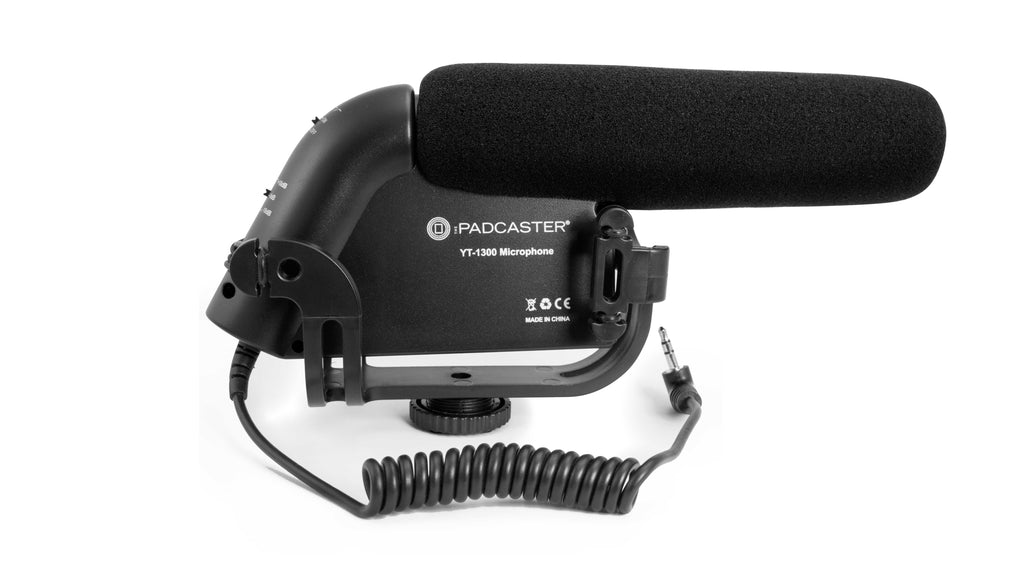 Rode's Videomic is an excellent microphone for mobile journalism