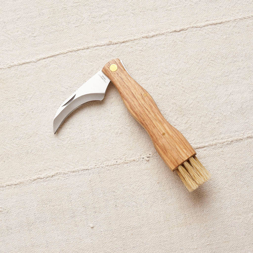 Folding Mushroom Knife