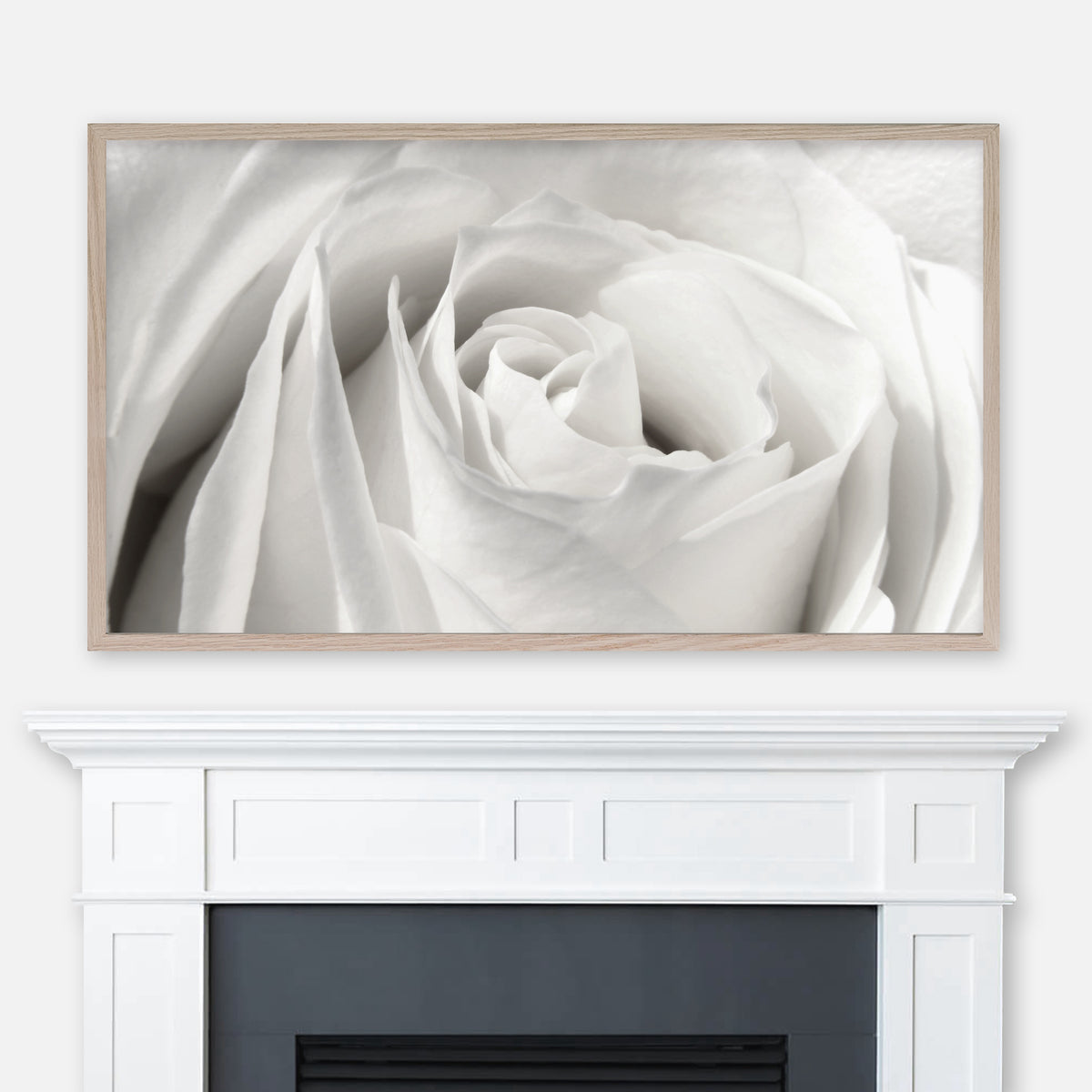 Reproduceren Mondwater Fictief Close-up of a White Rose - Samsung Frame TV Art 4K - Black & White Pho –  Happy Cat Prints