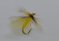Yellow Sally Stonefly
