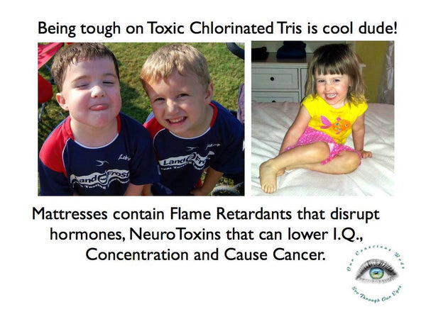 Toxic Flame Retardant Chlorinated Tris