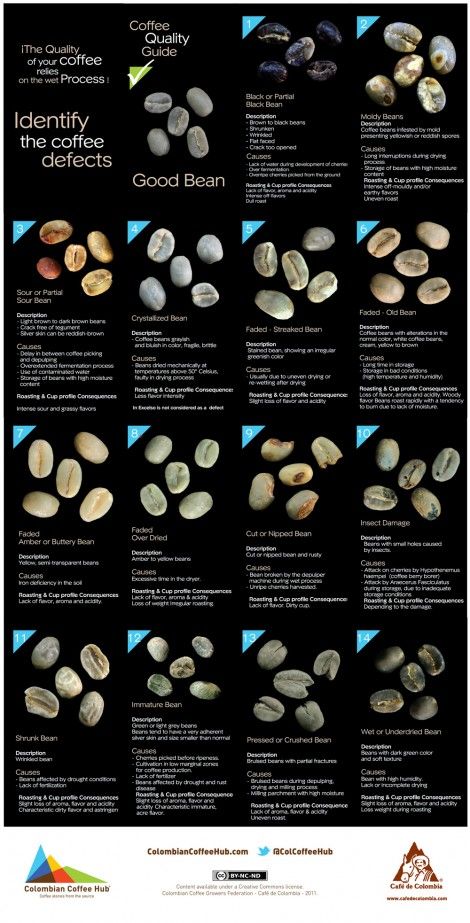 Coffee defects chart