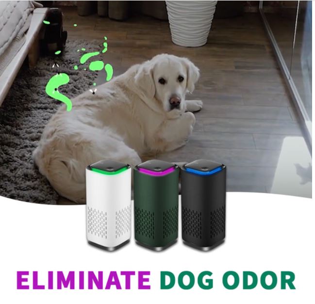 Do Air Purifiers Get Rid Of Dog Smells