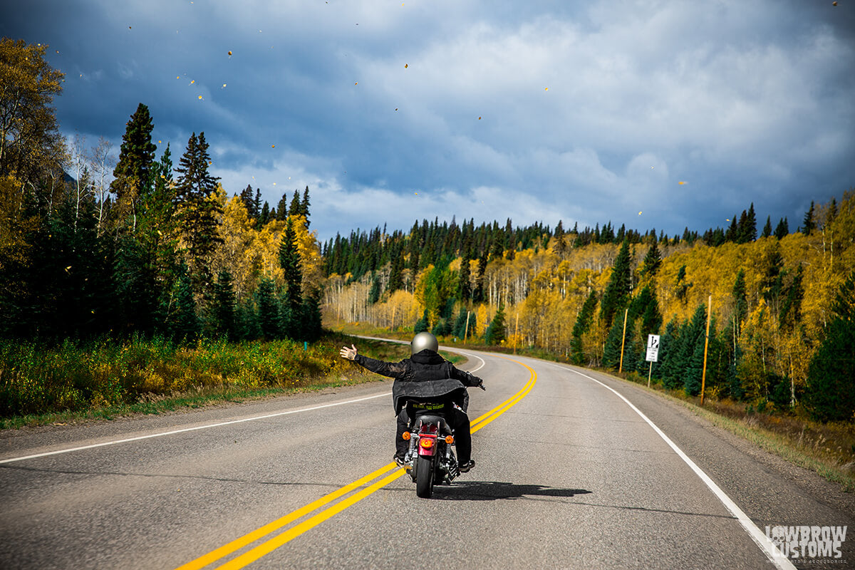 Taking in all those beautiful yellow aspen trees on Route 16!