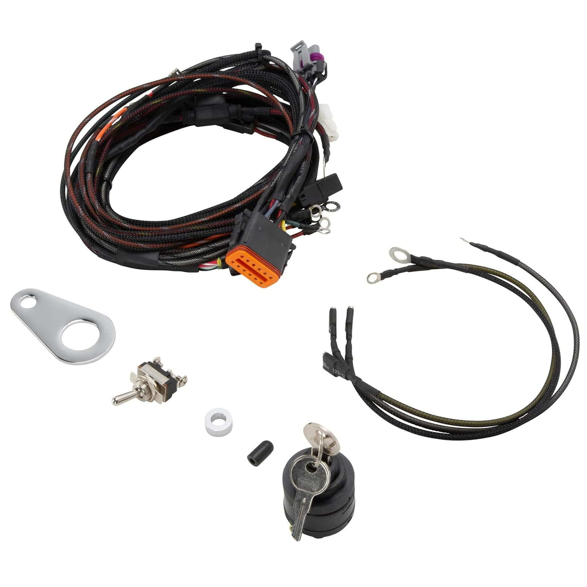 The Sportster Treatment Custom Wiring Harness Kit 2004-2006 Harley