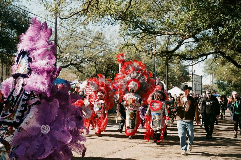 mardi gras indian costume