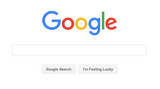 The google search box