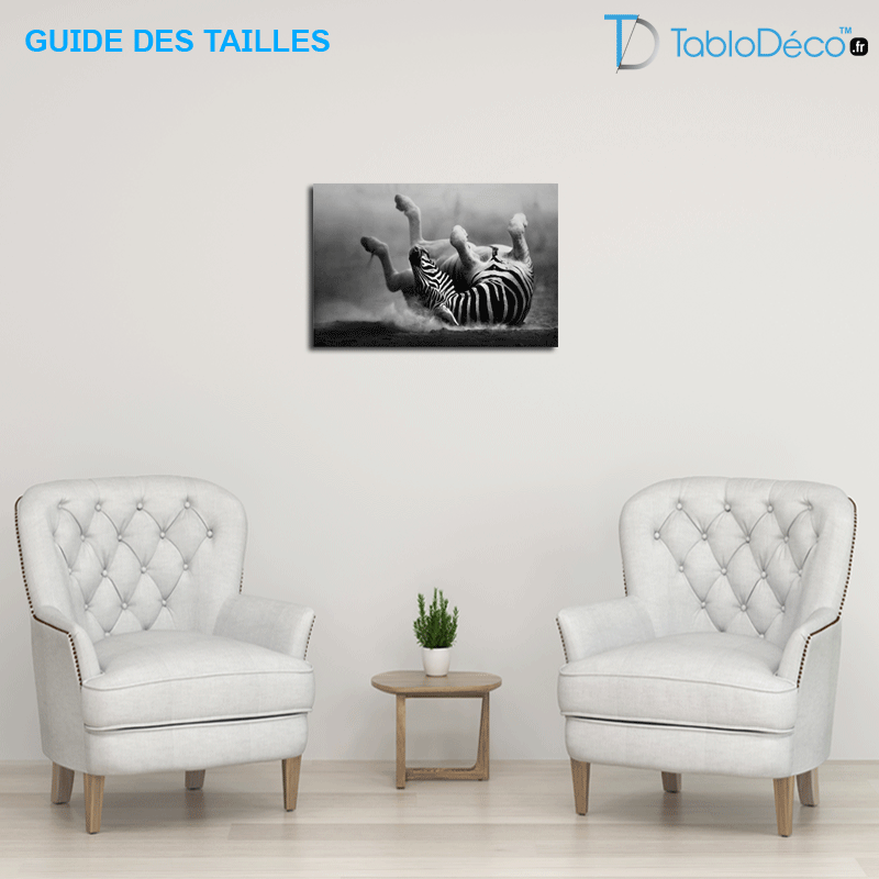 Guide des tailles du Tableau Zèbre Grand Format