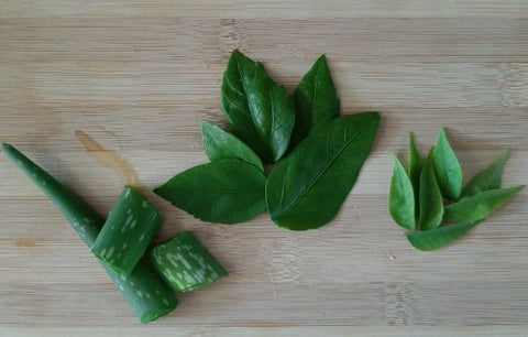 Hibiscus hair mask with curry leaves