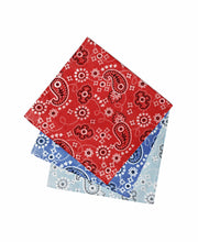 Assorted 3 Pack Bandanas Assorted Perry Ellis