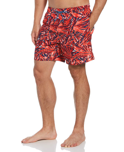 Firework Print Swim Short