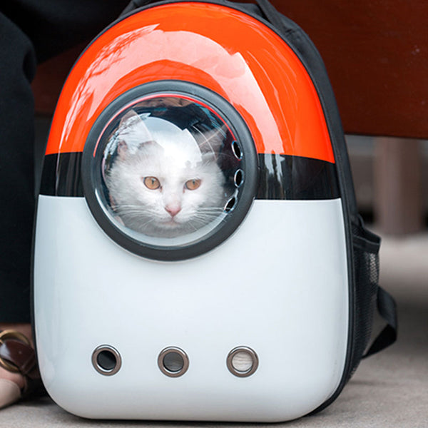 backpack with window for cat