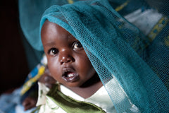 Malaria Child Net