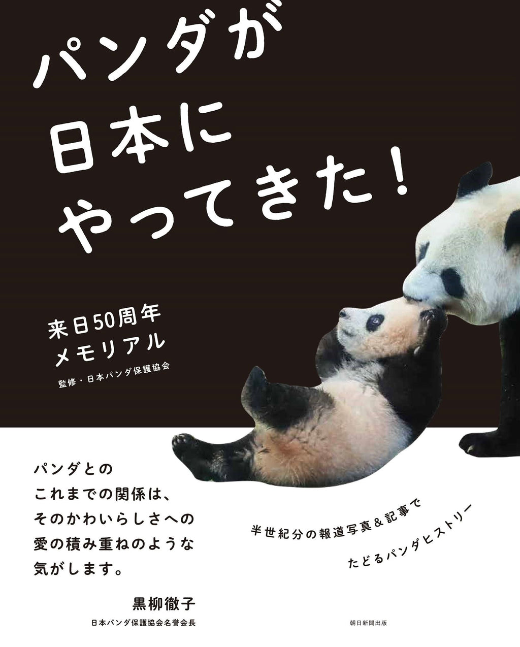 豪華ラッピング無料 朝日新聞 パンダ シャンシャン