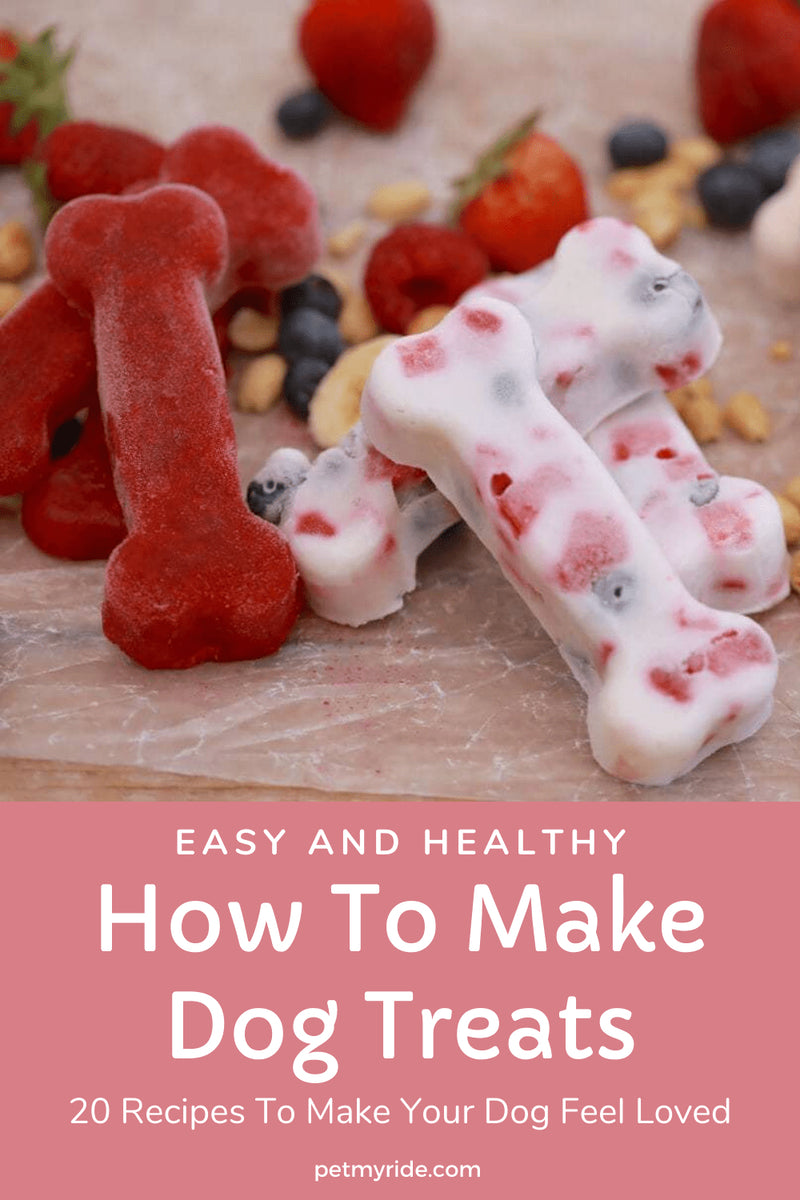 How To Make Dog Treats 20 Recipes for Your Pet by Viktoria Kanevsky