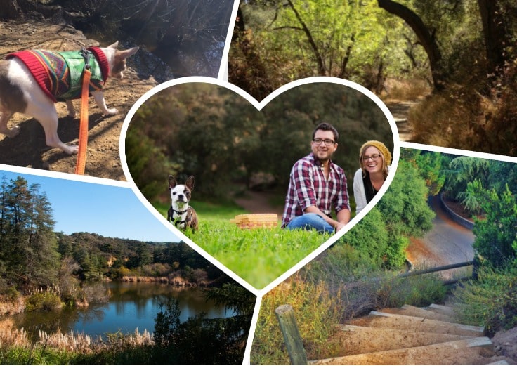 image showing Franklin Canyon park, as people with their dogs hiking there