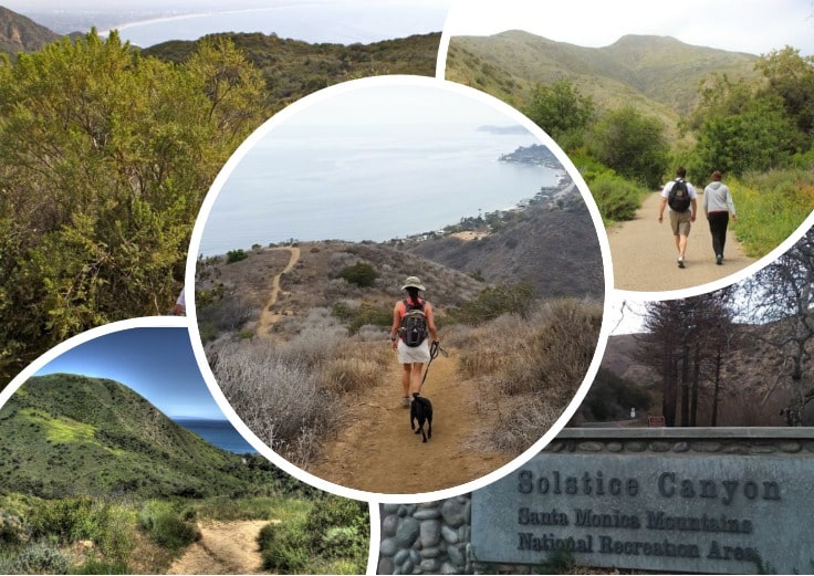 image showing Solstice Canyon in Malibu and people hiking there with their dogs