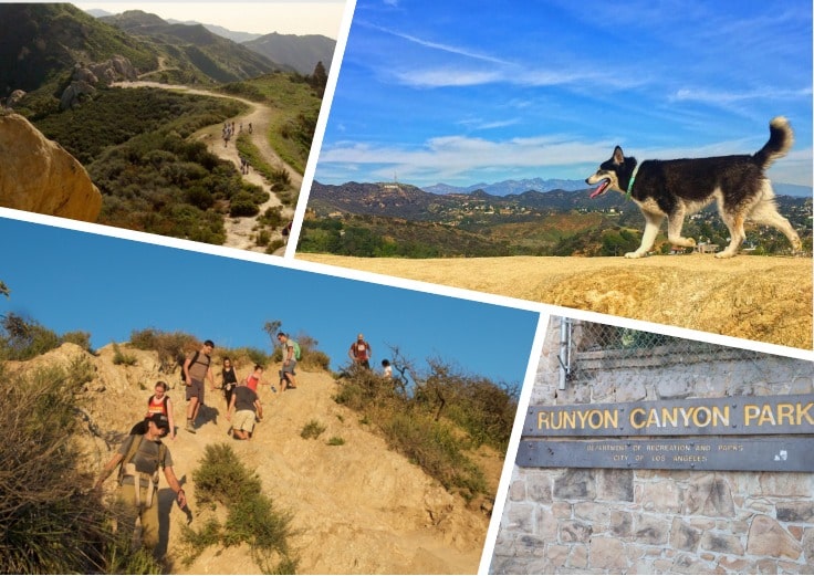 image showing views of Runyon Canyon dog hikes in Los Angeles California