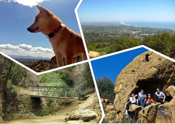 image showing views of Temescal Canyon near Santa Monica mountains and dogs with owners 