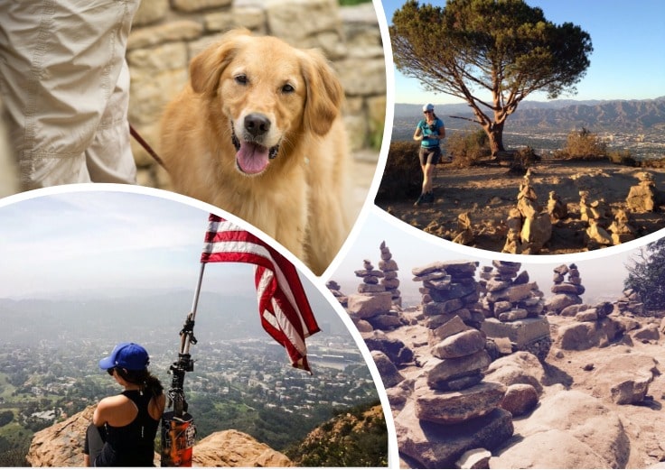 Image showing Cahuenga park in Los Angeles views and dogs with owners hiking there