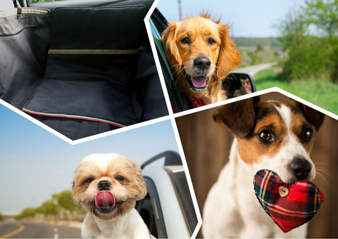 collage of truck back seat dog cover and different dogs