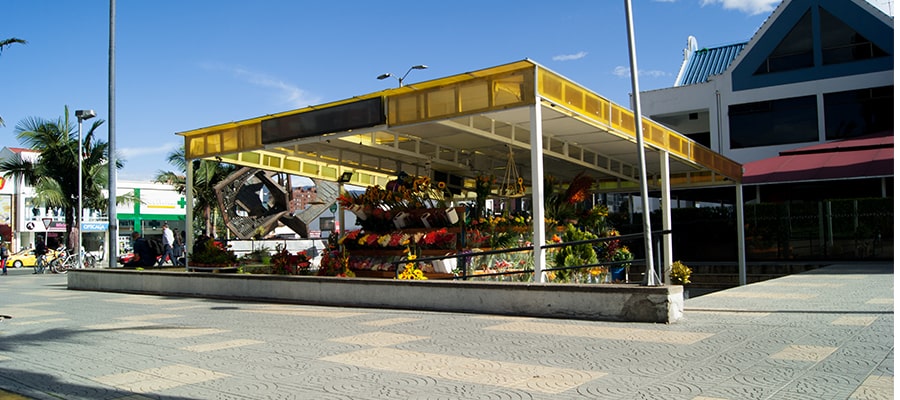 Floristería Flores 24 Horas Contigo Siempre Bogotá Domicilio