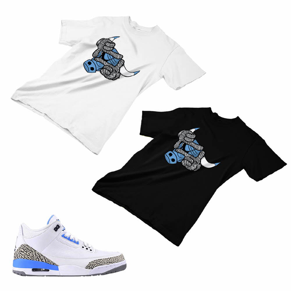 jordan 14 north carolina