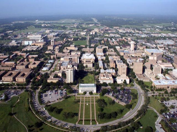 Tamu Bus