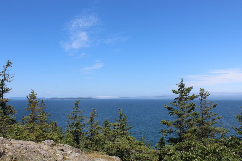 Acadia National Park Trail