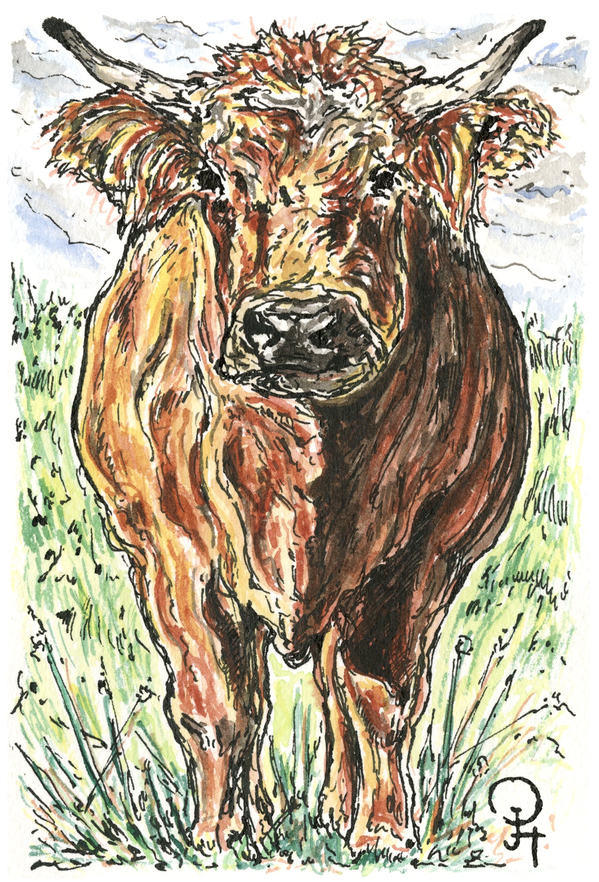 Single Postcard, Coastal Beef