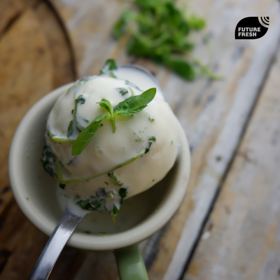 Refreshing Mint Ice Cream with Future Fresh Spearmint