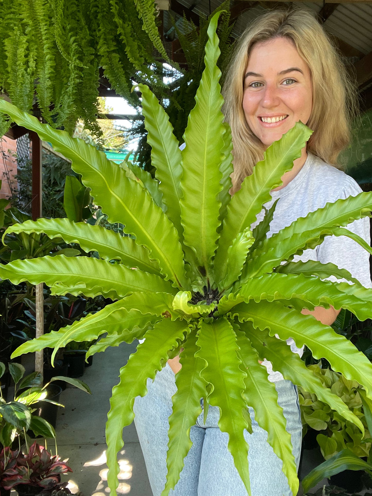 Victoria Fern