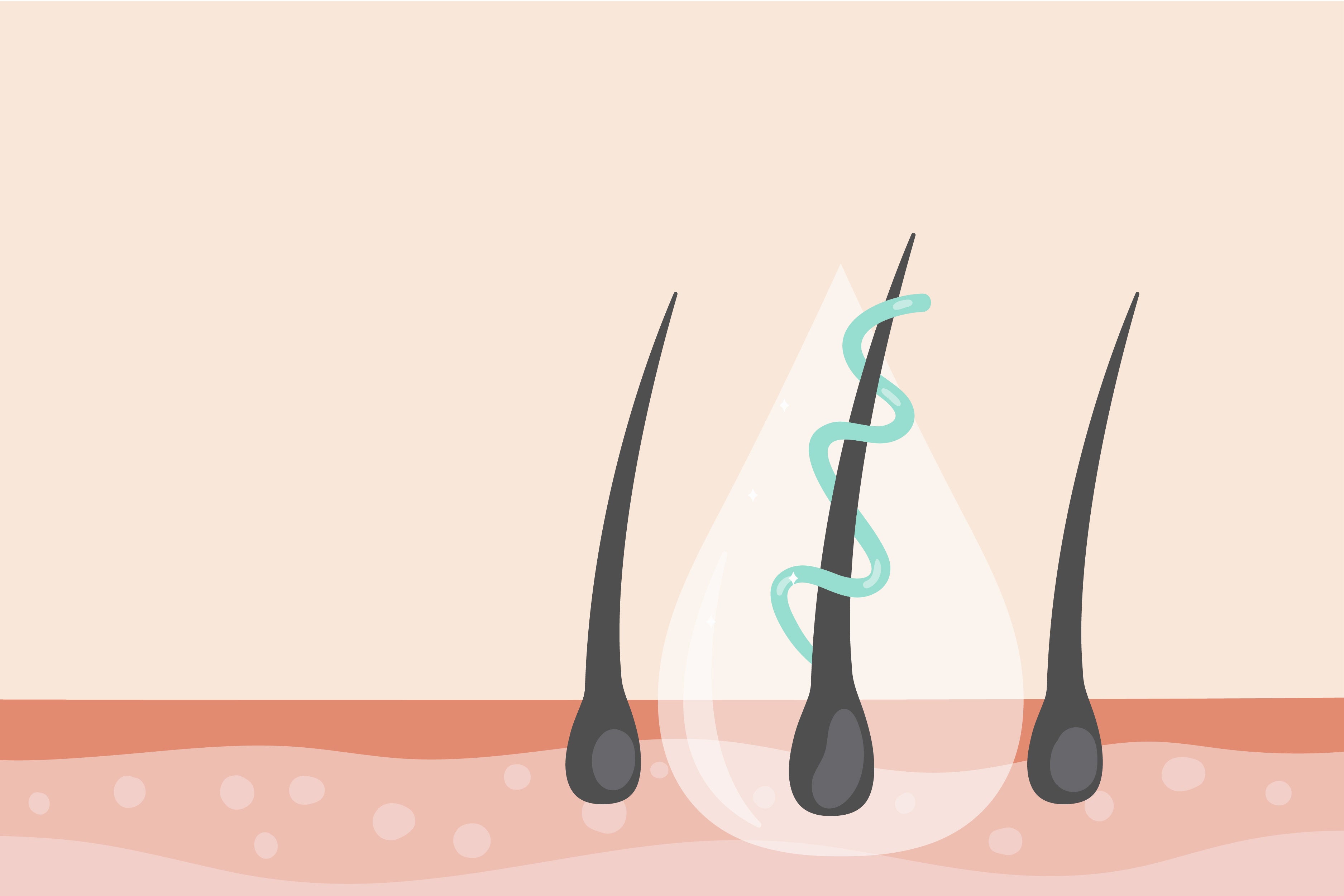 Hair Roots | How to make Hair Roots Strong | Traya Health