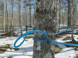 How is maple syrup made: Tubing in the woods