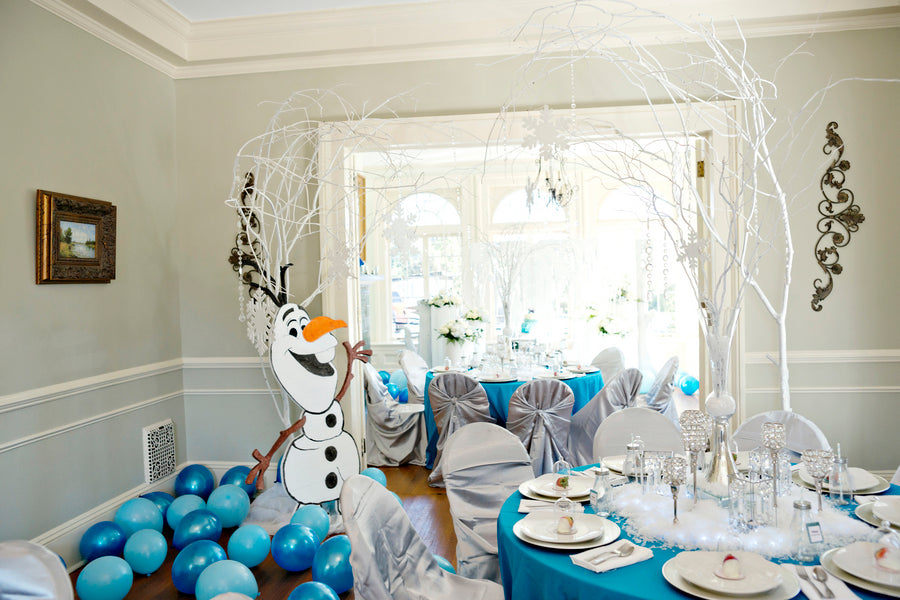 Frozen Themed Birthday Party Decorations - Andie Freeman Photography