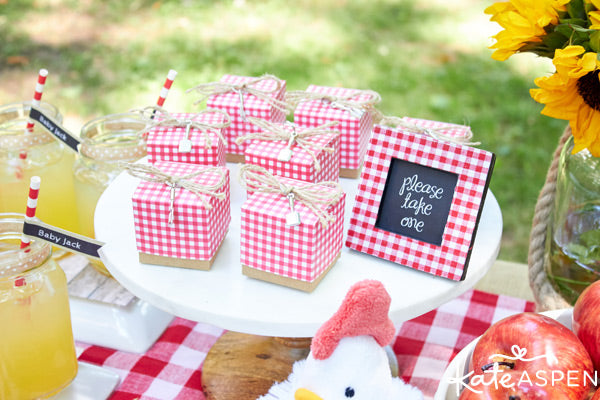 Gingham Baby-Q favor boxes from Kate Aspen 