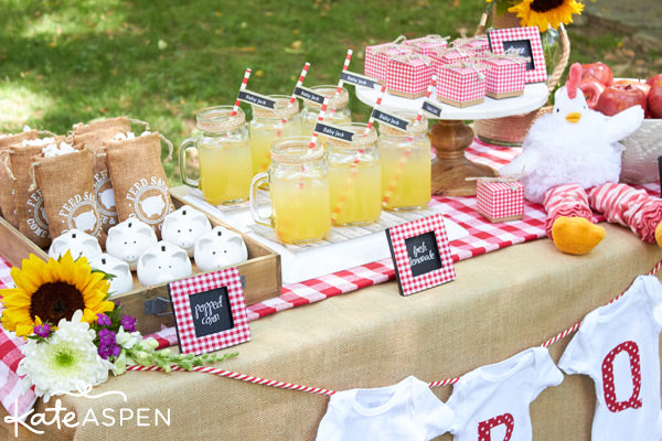 Baby-Q Baby Shower Inspiration from Kate Aspen 